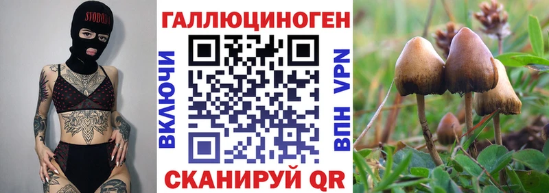 Галлюциногенные грибы Psilocybe  Корсаков 